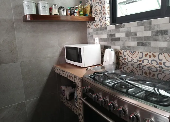 Hermoso Depto Dentro Del Corazon En Roma Norte Cdmx Apartment *