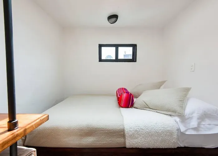 Hermoso Depto Dentro Del Corazon En Roma Norte Cdmx Apartment